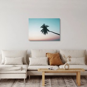 Obraz na szkle - Palma na Bali (70x50 cm)
