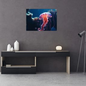 Obraz na szkle - Meduza (70x50 cm)