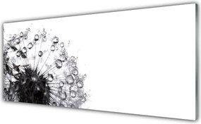 Panel Szklany do Kuchni Lekkość Mniszka Lekarskiego