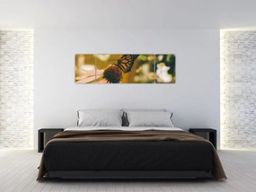 Obraz motyla na kwiatku (170x50 cm)