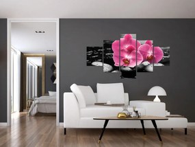 Obraz - Różowe orchidee (125x70 cm)