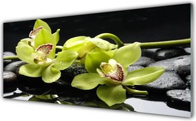 Szkło nad Blatem Egzotyczny Kwiat Orchidei