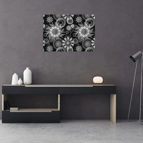 Obraz - Czarne i białe osty (70x50 cm)