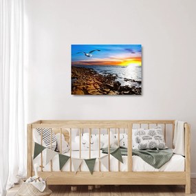 Obraz na szkle - Mewa lecąca nad wybrzeżem (70x50 cm)