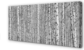 Obraz na płótnie Czarno-Biały Las