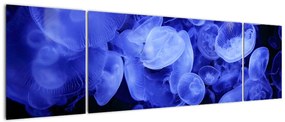 Obraz - Meduzy (170x50 cm)