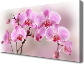 Zdjęcie na płótnie Pastelowy Bukiet Botaniczny