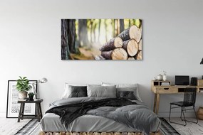 Obraz drukowany na płótnie Esencja Drewna Z Lasu