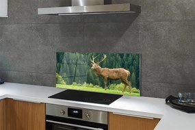 Panel nad Blat Kuchenny Jeleń na Otwartym Polu