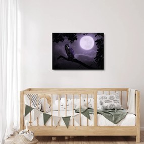 Obraz na szkle - Nocna sowa, fioletowy (70x50 cm)