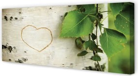 Zdjęcie na płótnie Serce z Liści Brzozy