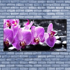 Fotoobraz na płótnie Subtelny Płatek Natury