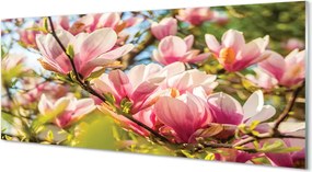 Szklany Panel Różowa Magnolia w Detalu