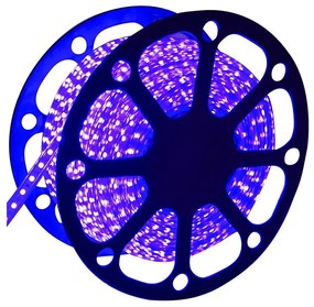 Aigostar - Taśma LED zewnętrzna 50 m, 300 W, 230 V, niebieska, IP65