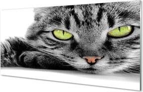 Panel nad Blat Kuchenny Portret Szaro-Czarnego Kota