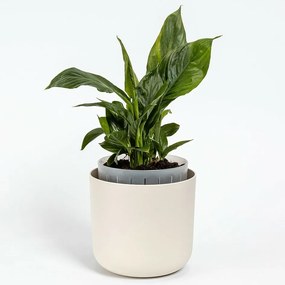 Plastia Doniczka samonawadniająca Tolita Air kremowy, śr. 19 cm, śred. 19 cm
