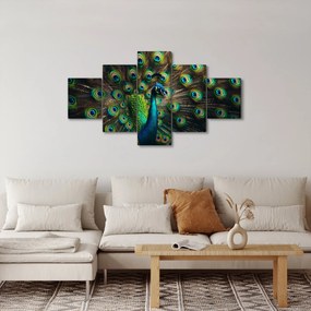 Obraz – Paw (125x70 cm)