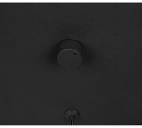 Czarna lampa wisząca LED Cala – Trio Select