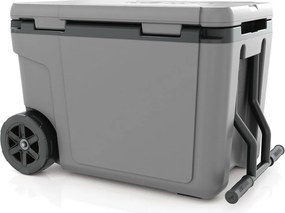 Ninja FB245EUGY lodówka turystyczna Frost Vault Wheeled, 42 l