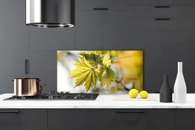 Panel Kuchenny Świeże Liście W Przybliżeniu