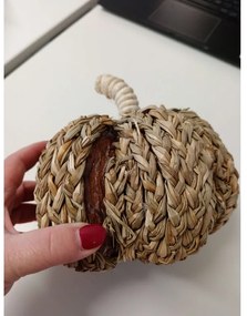 PROMOCJA Dekoracja dynia PUMPKIN COACH GRASS II. jakość