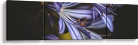 Obraz - Lilia (170x50 cm)