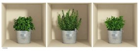 Zestaw 3 naklejek 3D Ambiance Herbs in Pot