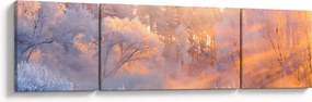 Obraz - Mroźny świt (170x50 cm)