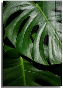 Szklany obraz 70x100 cm Monstera – Wallity