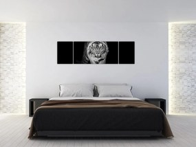 Obraz - Tygrys z żółtymi oczami (170x50 cm)
