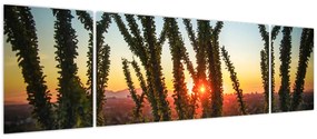 Obraz - Rośliny (170x50 cm)