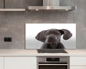 Panel szklany do Kuchni Portret Brązowego Psa