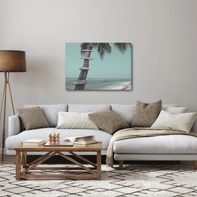 Obraz - Palma na Karaibach (70x50 cm)