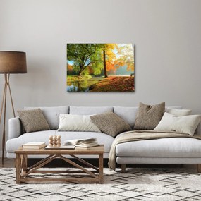 Obraz - Spokojny jesienny krajobraz (70x50 cm)