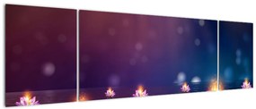 Obraz - Magiczne lilie wodne (170x50 cm)