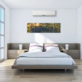 Obraz - Winnica (170x50 cm)