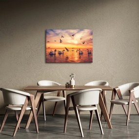 Obraz - Łabędzie (70x50 cm)