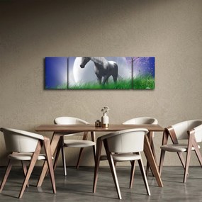 Obraz jednorożca (170x50 cm)