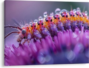 Obraz - Caterpillar (70x50 cm)
