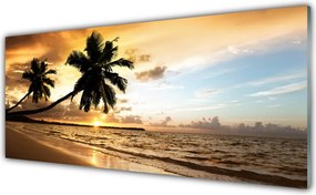 Panel Szklany do Kuchni Tropikalne Wybrzeże z Palmą