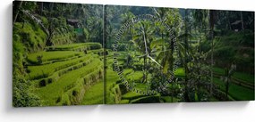 Obraz tarasów ryżowych Tegalalang, Bali (z zegarem) (90x30 cm)