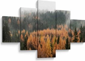 Obraz - Jesienny las (125x70 cm)