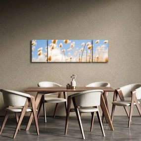 Obraz - Złote pole (170x50 cm)
