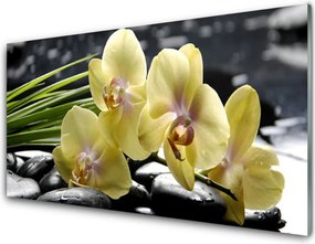 Panel nad blat kuchenny Pełnia Kwiatowego Rozkwitu