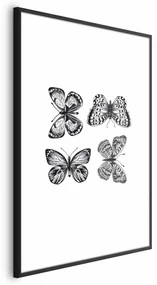 Plakat Cztery motyle 40x60 cm z ramą czarną z marginesem ARTGEIST B
