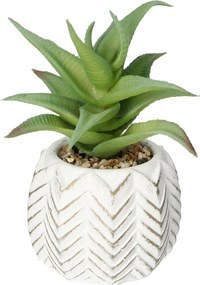 Dekoracja Aloes I 14cm