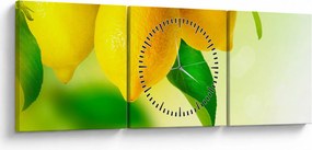 Obraz cytryn (z zegarem) (90x30 cm)