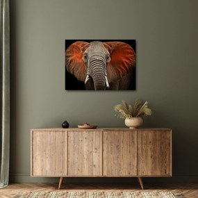 Obraz - Słonie z Tsavo (70x50 cm)