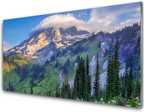 Panel nad blat kuchenny Panorama Górskiego Boru