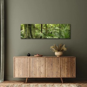 Obraz tropikalnego lasu deszczowego (170x50 cm)